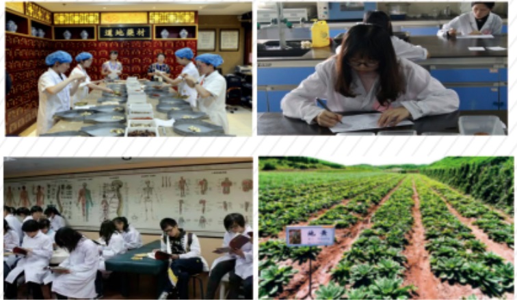 河北现代信息工程学校