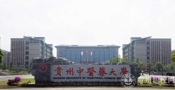 贵州医科大学的二本医学院校,录取分数低,本地就业认可度高(图3) 贵州医科大学的二本医学院校,录取分数低,本地就业认可度高(图3)